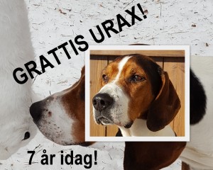 Urax FB